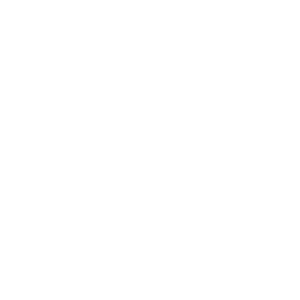 AlteWerft_Logo_neg_weiss_RZ